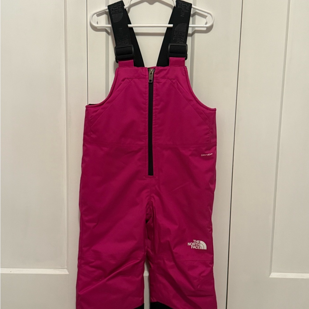 The North Face Fuchsia Snow Bib Snow Pants